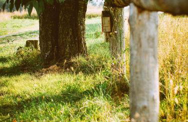 Przewietrzona Głowa - Foto 11