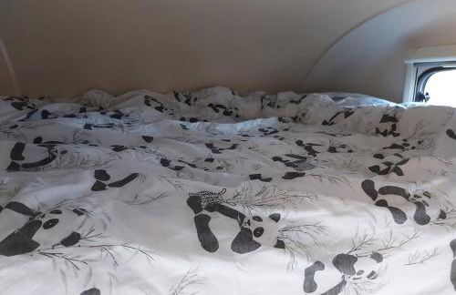 A vroom with a view! - Foto 12