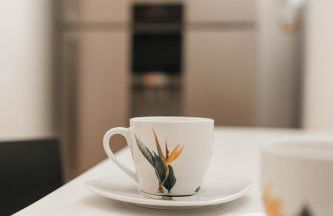 Guest House T4 no Porto - Foto 40