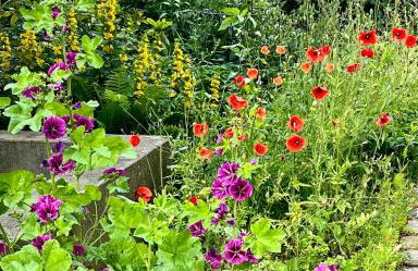 Kleine Landhaus-Perle am Schlosspark - Foto 34