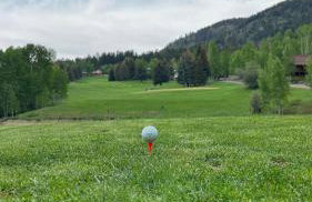 TandAA Cabin- cozy up in the Aspens on the Fairway - Foto 18