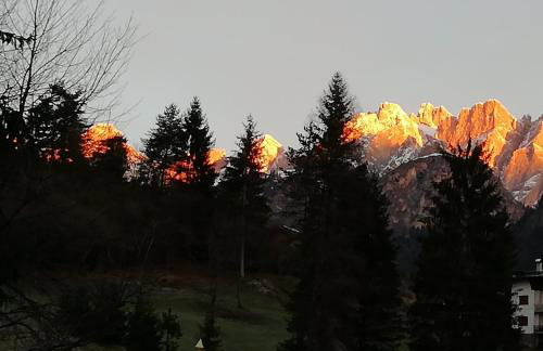 Tra prati e monti - Dolomiti Bellunesi - Foto 34