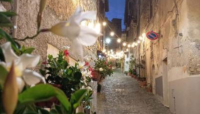 Alloggio Turistico La Rupe - Foto 3