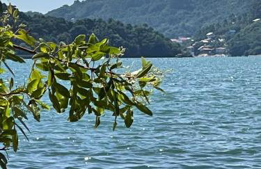 Casa 2 quartos - Refúgio Porto Belo - Foto 19