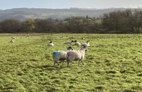 The Old Cheese Press, Eckington - Foto 37