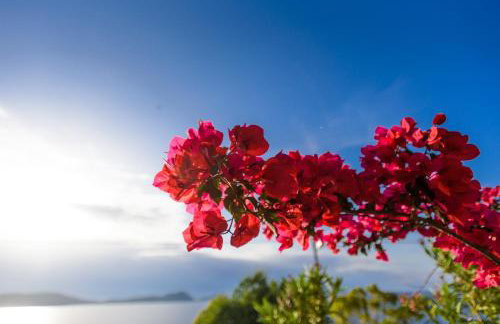 Hotel Philip - Foto 24