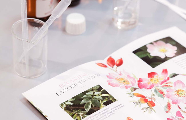 Perfume Workshop - Photo 5