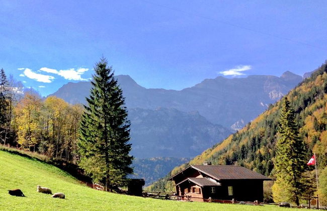 Chalet Bergmandli - Foto 20