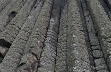 Tornaroan Cottage - Foto 60