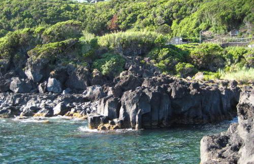 Casas de Incensos - TER -TA - Photo 65