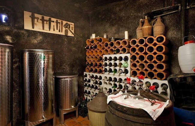 Vineyard cottage Verček - Photo 7