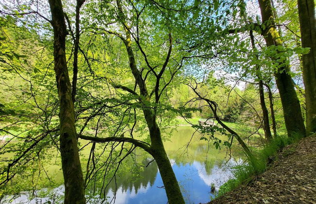 Apartment mit Balkon Nahe am Erlebnisberg Kappe - Foto 40