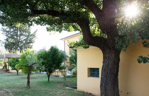 Agriturismo Il Casolare Di Nonno Mario - Foto 80