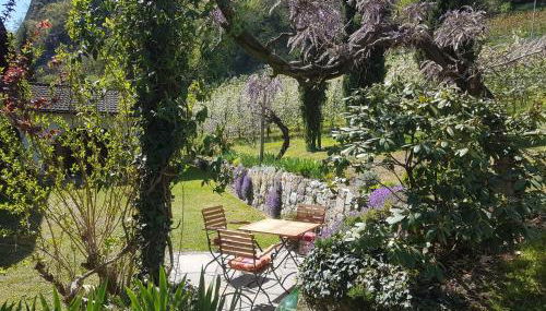 Birkhof - Photo 5, Garden, Garden view