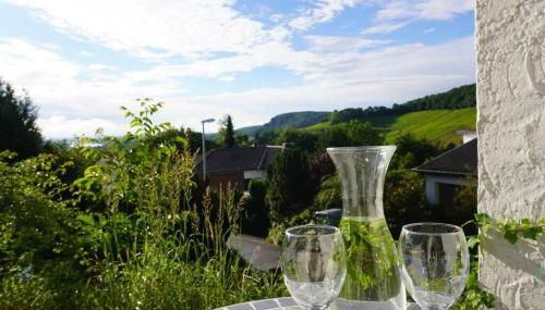 Grüne Wohlfühloase mit einmaliger Aussicht - Foto 4