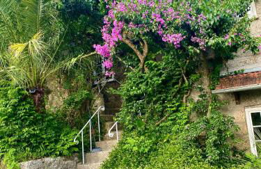 Quinta de Ribas - Foto 52