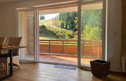 kleineauszeit3, Feldberg, direkt an Skipiste, mit Sauna - Photo 9