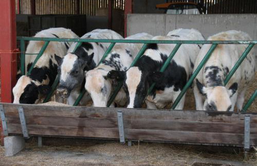 Church Farm - Foto 16