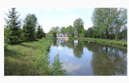 Agroturystyka nad stawami - Foto 15