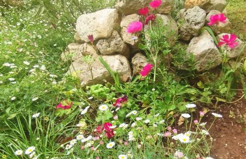 Olive Lemon Biophilic House & Lush Forest Garden - Foto 36