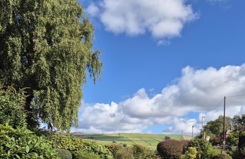 The Waltzing Weasel - Photo 13