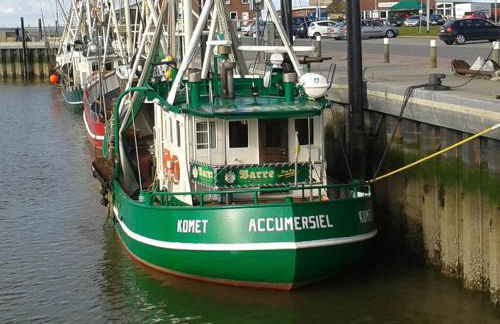 Komfort 4 Sterne Wohnung " Flut " für 4 Erw Kleinkind in Ostfriesland - Photo 12