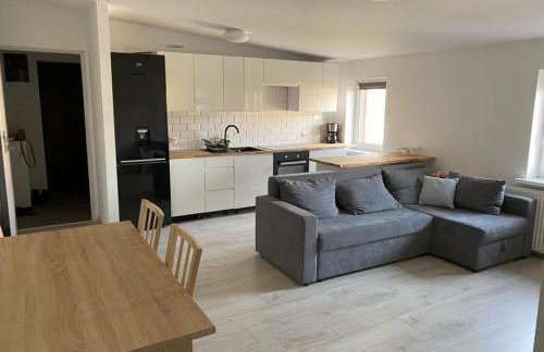 Apartament w malowniczej Sosnówce - Foto 6