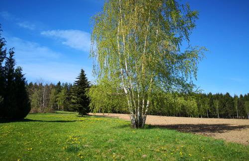 Pumphuts Scheune Ferienwohnungen Nr 1 - 4 beim Freizeitpark Plohn - Foto 55