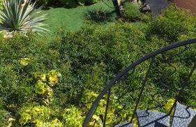 La casita de la playa - Foto 12