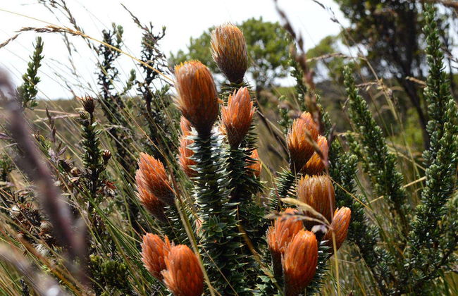 Cotopaxi & Quilotoa Viewpoint Day Trip - Photo 7