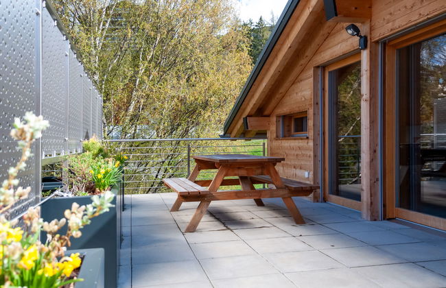 Les penguins - Foto 23