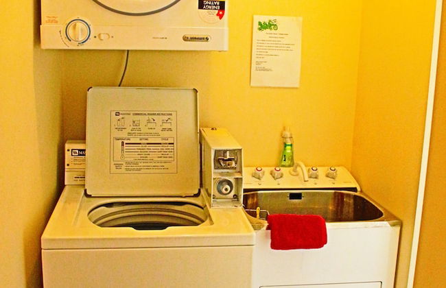 The Green Gecko - Foto 7