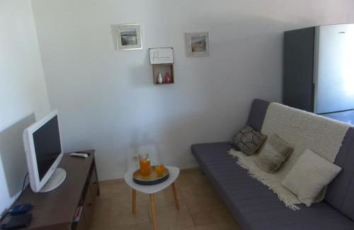 Vigne et cigale - Foto 10