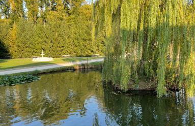 Apartments Šoić - Photo 47