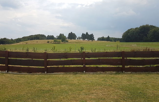 Eifel Dream Zingsheld - Photo 20