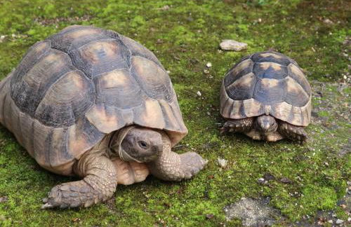 Holiday Home Marie by Interhome - Foto 111