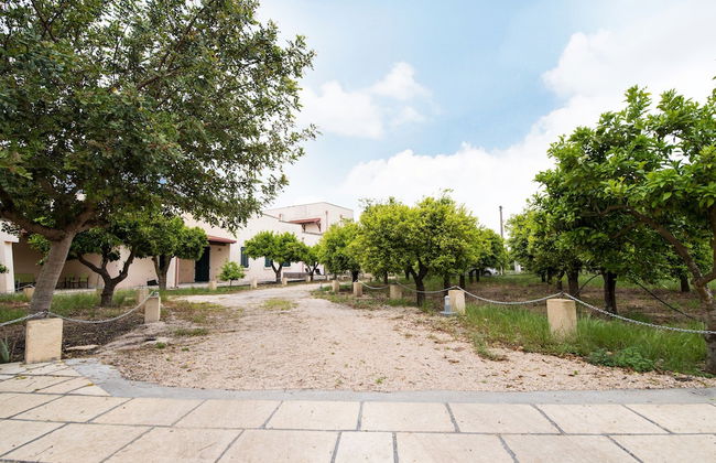 Casina Farnarari - Photo 26