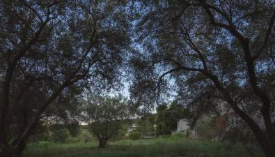 Gurba's House - Foto 5