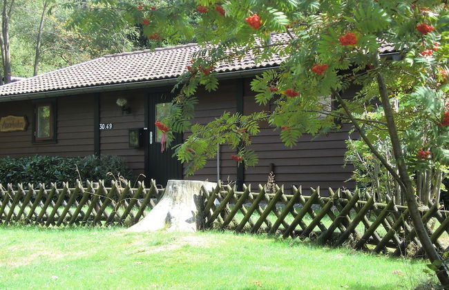 Waldsee Feriendienst - Foto 15