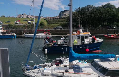 3-Bed Lodge with SeaView-Fireplace-Garden-FreeP - Photo 24