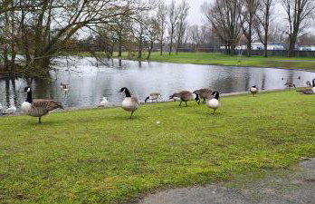 Willow View 3 Bedroom Home with Garden, Newton Aycliffe - Foto 28