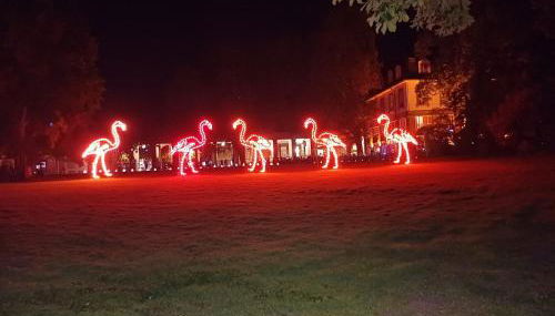 Wohnung Waldstadt-Zentrum - Foto 2