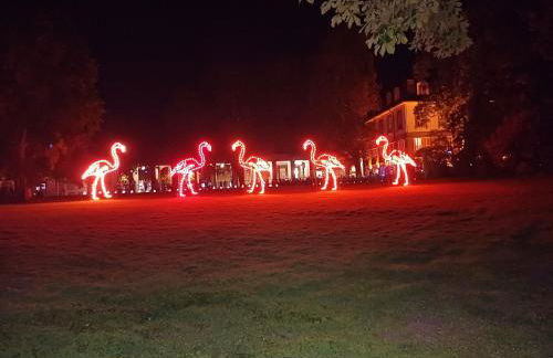 Wohnung Waldstadt-Zentrum - Foto 2