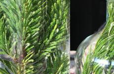 ElleCi Casa Vacanze - Photo 60