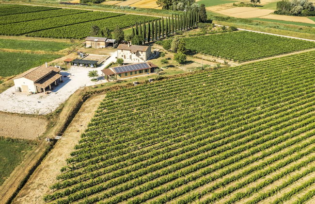 Agriturismo La Fonte - Photo 49