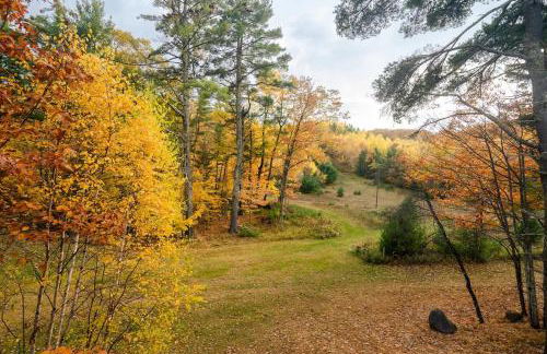 Telemark Northwoods Lodging - Foto 38