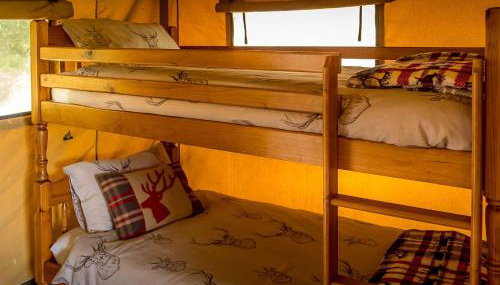 Tent 1 Deerland - Ukc4716 - Foto 5