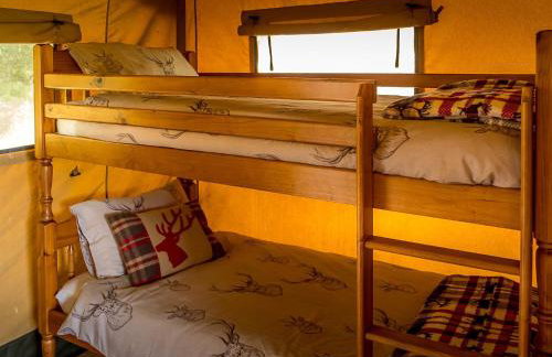 Tent 1 Deerland - Ukc4716 - Foto 5