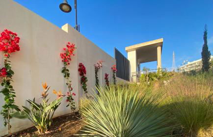 Blue Lady by the Sea - Photo 47