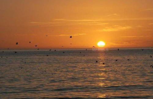 Beachfront Condo! Gulf View From All Rooms, Pool, Chairs Provided - Foto 38